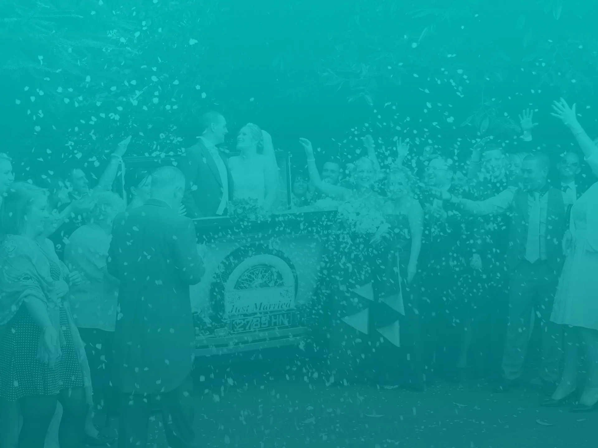 Shirley Chauffeurs logo