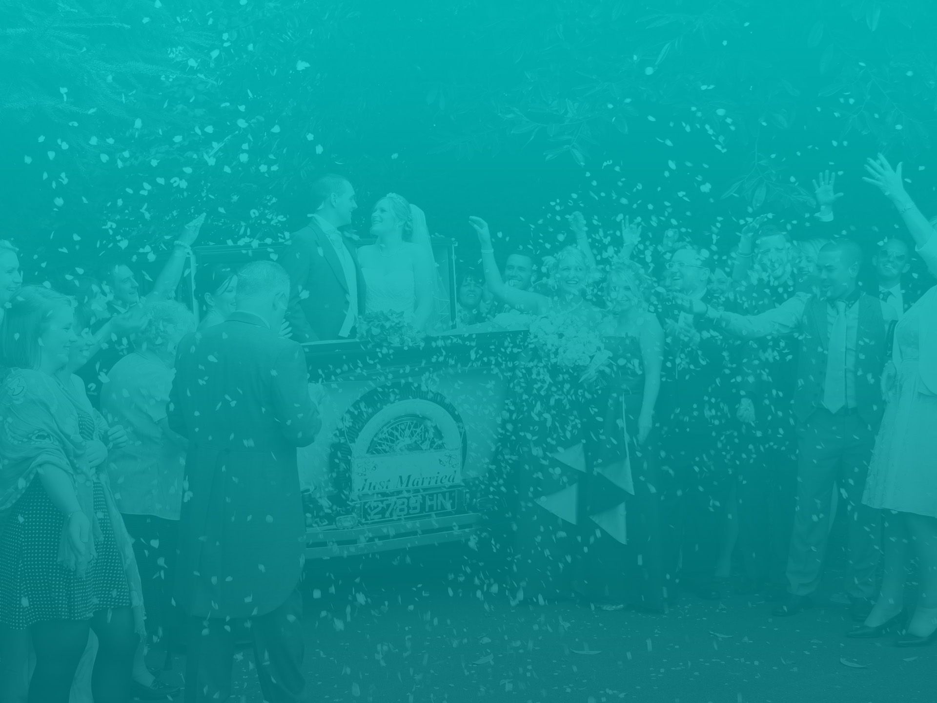 Shirley Chauffeurs logo